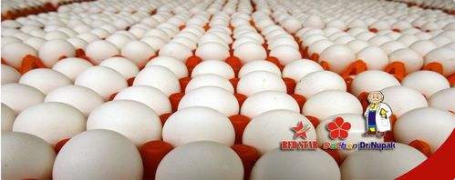 Đăng ký nhận King88 ưu đãi hấp dẫn mỗi ngày Đăng nhập King88 vina nhận +888K Đăng ký nhận King88 ưu đãi hấp dẫn mỗi ngày Đăng nhập King88 vina nhận +888K